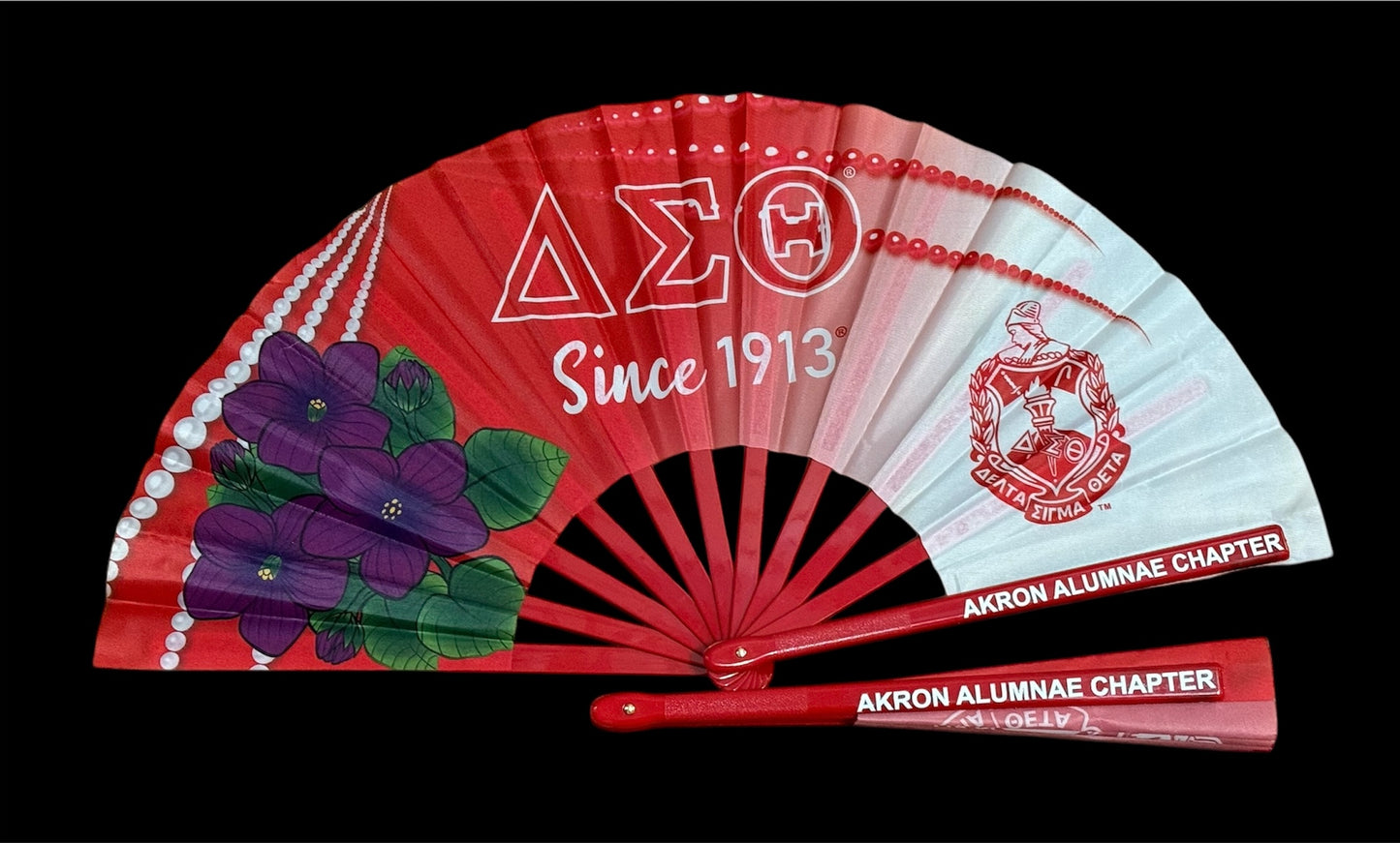 Delta Sigma Theta Fans (Akron)
