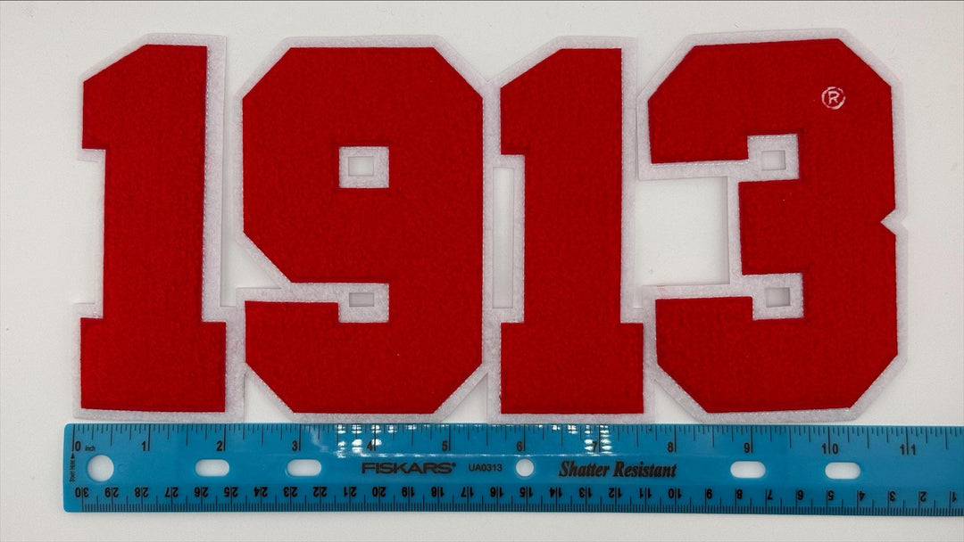 Delta Sigma Theta Chenille or Sequence Iron on Patches