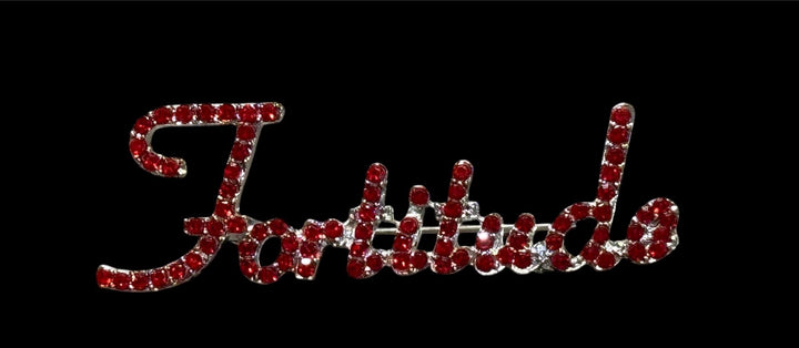 Delta Sigma Theta Brooches/Pins