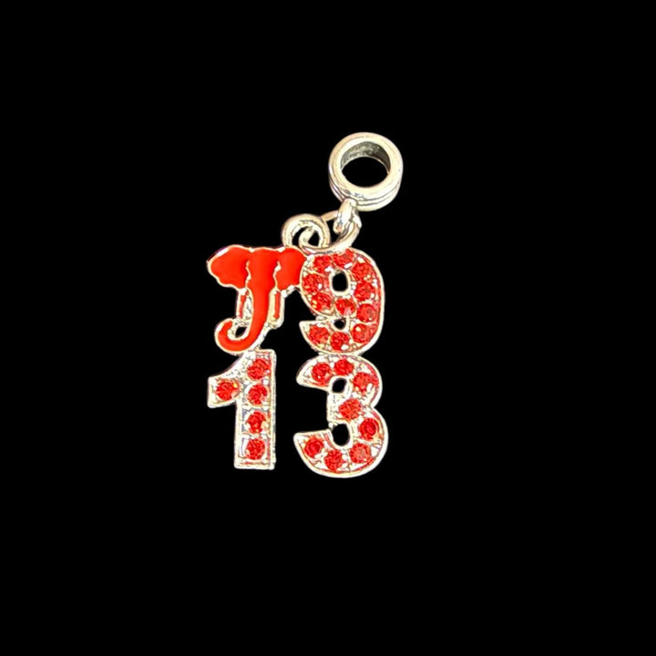 Delta Sigma Theta Charms