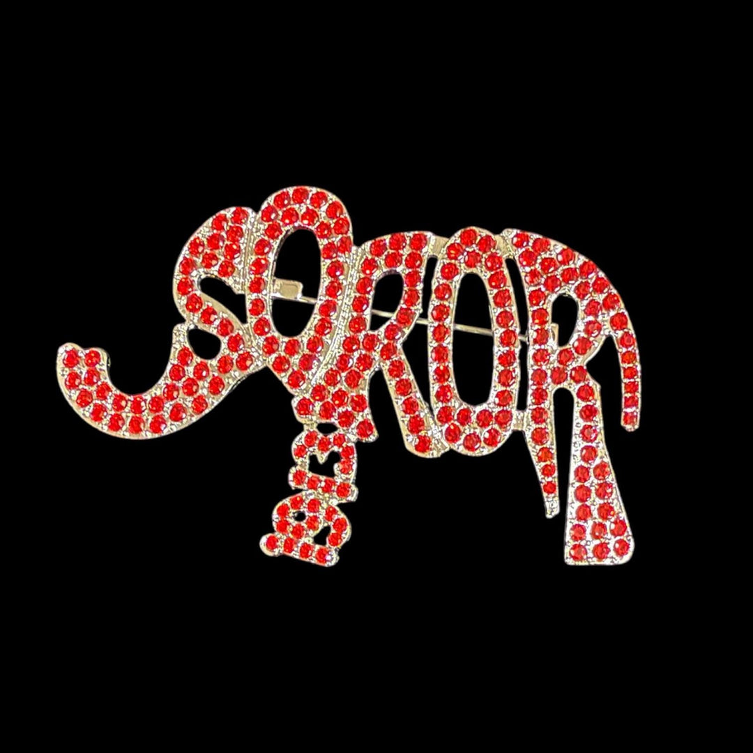 Delta Sigma Theta Brooches/Pins